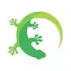Green Gecko